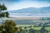 Sandy Creek Road, Sandy Creek, Vic 3695-Image