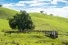 Sandy Creek Road, Sandy Creek, Vic 3695-Image
