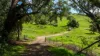 Sandy Creek Road, Sandy Creek, Vic 3695-Image