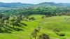 Sandy Creek Road, Sandy Creek, Vic 3695-Image