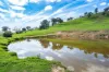 Sandy Creek Road, Sandy Creek, Vic 3695-Image