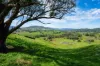 Sandy Creek Road, Sandy Creek, Vic 3695-Image