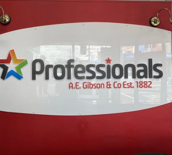 Professionals A E Gibson & Co - Glenroy - Real Estate Agency