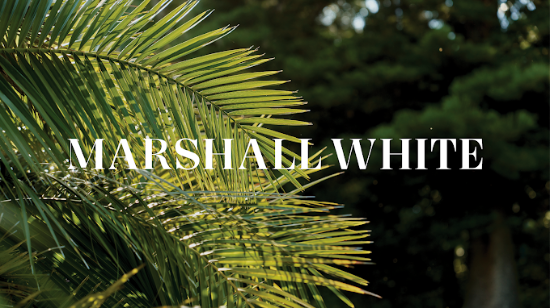 Marshall White - Sandringham - Real Estate Agency