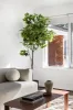 10/12 Brennand Street, Fitzroy North, Vic 3068-Image