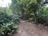 13 Sommerville Crescent, Whitfield, Qld 4870-Image