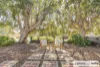 2/80 Stoneham Street, Joondanna, WA 6060-Image