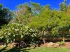 2A BYRON STREET, Brunswick Heads, NSW 2483-Image