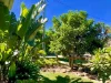 2A BYRON STREET, Brunswick Heads, NSW 2483-Image