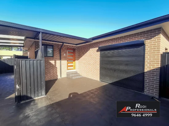 46a Campbell St, Berala, NSW 2141