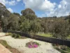 60a Daintree Close, South Bowenfels NSW 2790-Image