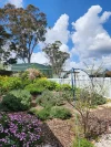 60a Daintree Close, South Bowenfels, NSW 2790-Image