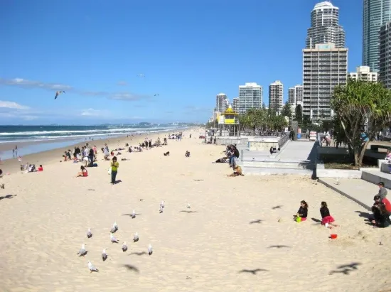 62/19 Orchid Avenue, Surfers Paradise, Qld 4217-Image