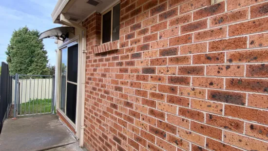 8A Robin Street, Hinchinbrook NSW 2168-Image