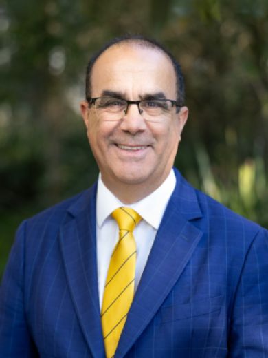 Gavin Sanna - Real Estate Agent at Ray White Elevate Group