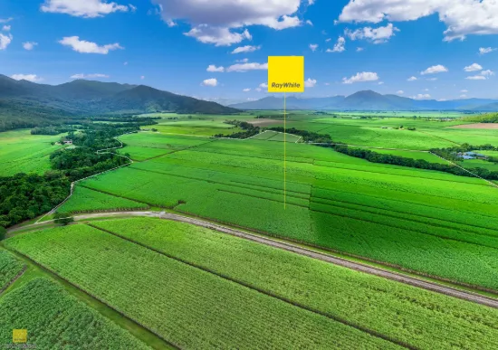 Rare Approx 142-Acre Property backing Creek, Water Licence & Cane in Green Hill