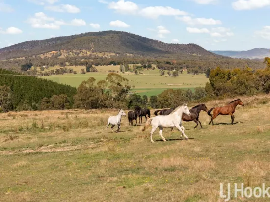 60 Acres of Peace & Possibility