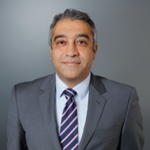 Hadi Emamifar - Real Estate Agent at Peard Real Estate - HILLARYS