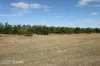 0 Selma Road & Pilot Farm Road, Emerald, Qld 4720-Image