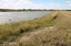 0 Selma Road & Pilot Farm Road, Emerald, Qld 4720-Image