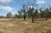 0 Selma Road & Pilot Farm Road, Emerald, Qld 4720-Image