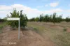 0 Selma Road & Pilot Farm Road, Emerald, Qld 4720-Image