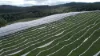 00 Ernies Way, Batlow NSW 2730-Image