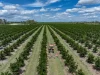 100 Sandersons Lane, Boynewood, Qld 4626-Image