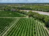 100 Sandersons Lane, Mundubbera QLD 4626-Image