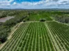 100 Sandersons Lane, Mundubbera QLD 4626-Image