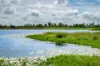 100 Sandersons Lane, Mundubbera QLD 4626-Image