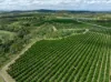 100 Sandersons Lane, Mundubbera QLD 4626-Image