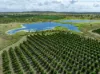 100 Sandersons Lane, Mundubbera QLD 4626-Image
