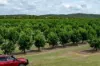 100 Sandersons Lane, Mundubbera QLD 4626-Image