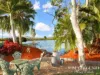 111 Mcleod Road, Mutchilba, Qld 4872-Image