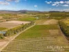 111 Mcleod Road, Mutchilba, Qld 4872-Image