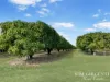 111 Mcleod Road, Mutchilba, Qld 4872-Image