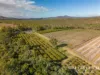 111 Mcleod Road, Mutchilba, Qld 4872-Image