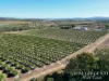 111 Mcleod Road, Mutchilba, Qld 4872-Image