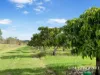 111 Mcleod Road, Mutchilba, Qld 4872-Image
