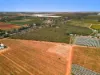 124 Tulloch Road, Red Cliffs VIC 3496-Image