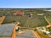 124 Tulloch Road, Red Cliffs VIC 3496-Image