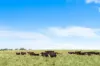 1255 Bulmers Road, Hogarth Range NSW 2469-Image