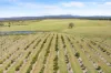 1255 Bulmers Road, Hogarth Range NSW 2469-Image