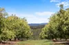 1255 Bulmers Road, Hogarth Range NSW 2469-Image