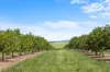 1255 Bulmers Road, Hogarth Range NSW 2469-Image