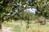 1255 Bulmers Road, Hogarth Range NSW 2469-Image