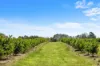 1255 Bulmers Road, Hogarth Range NSW 2469-Image