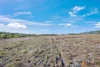 13, Barnards Road, Mooreland, Moorland, Qld 4670-Image