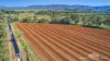 130 Channel Road, Walkamin, Qld 4872-Image